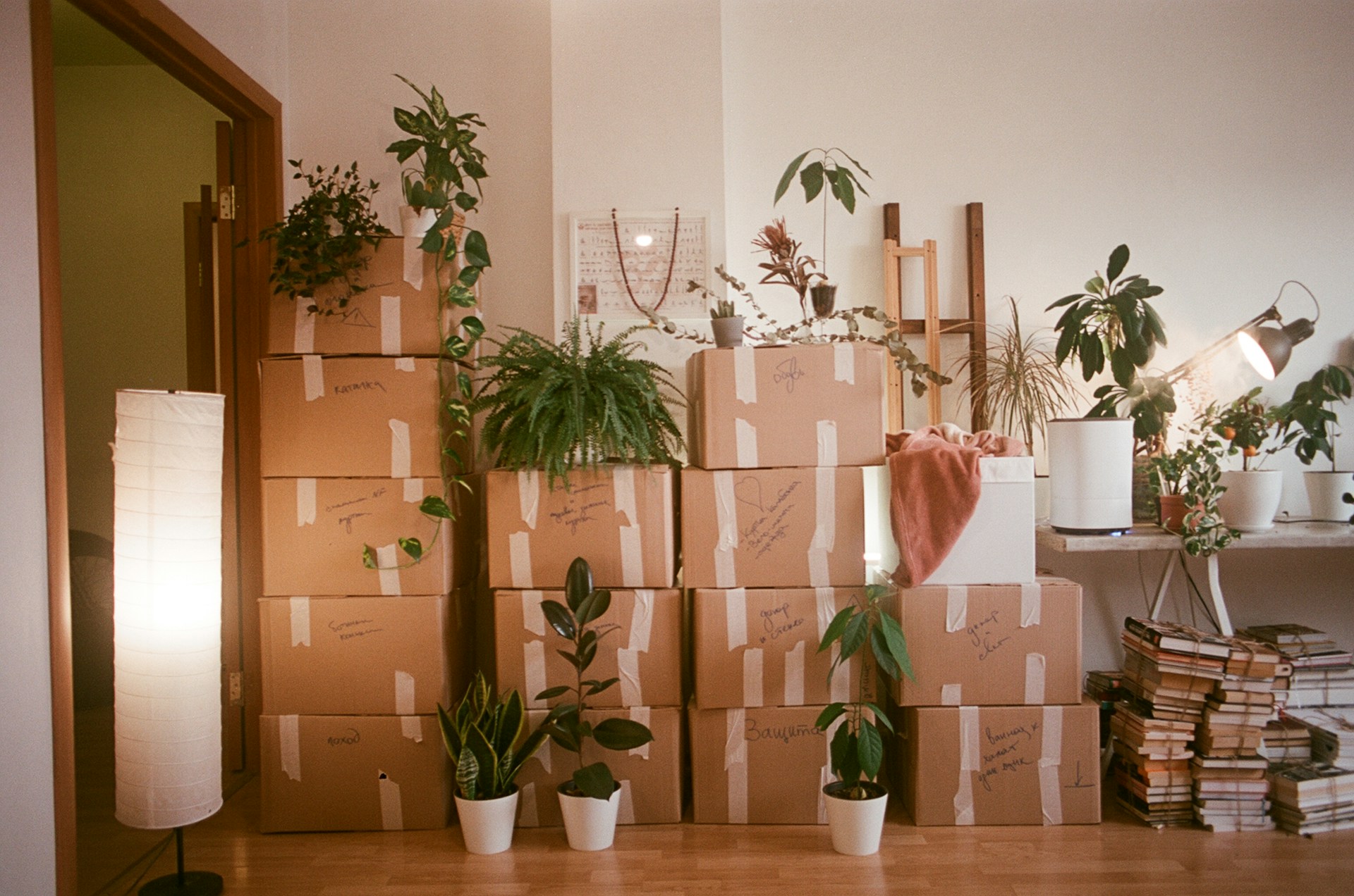 Moving house